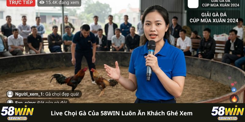 Đá Gà 58WIN - Xem Nhanh Trong 1 Chạm, Chất Lượng Full HD 3 Live chọi gà của 58WIN luôn ăn khách ghé xem