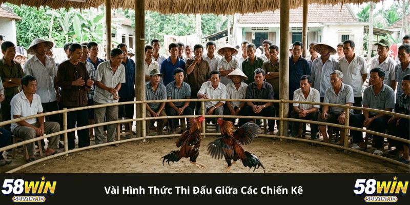 Đá Gà 58WIN - Xem Nhanh Trong 1 Chạm, Chất Lượng Full HD 2 Vài hình thức thi đấu giữa các chiến kê